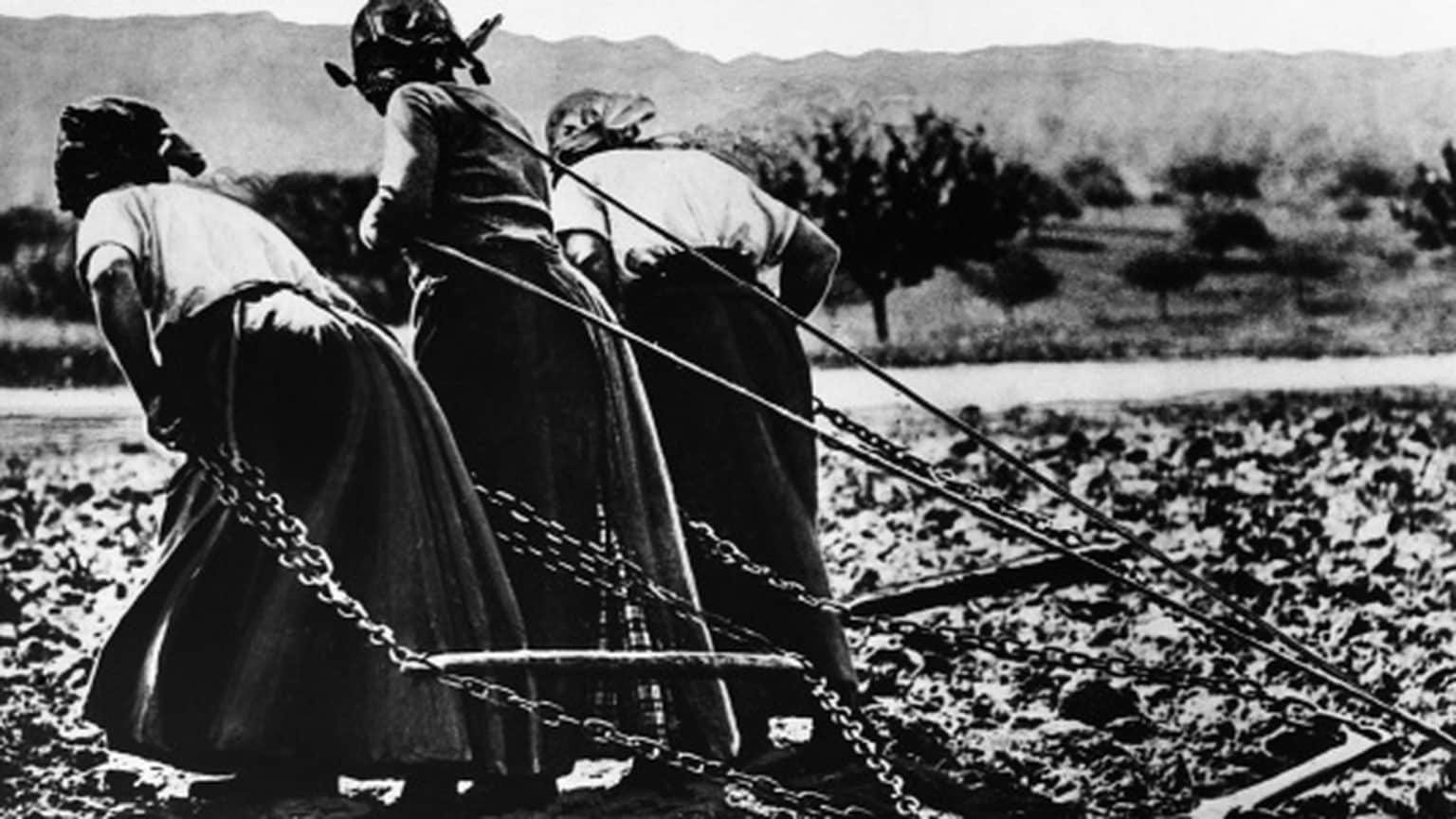 Cambios y consecuencias sociales en la Segunda Guerra Mundial
