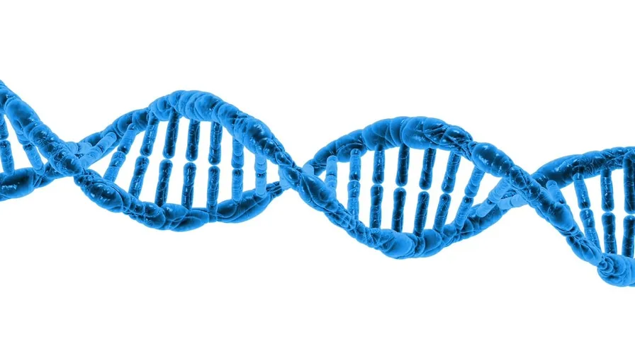 Descubrimiento de la estructura del ADN y la secuenciación del genoma humano