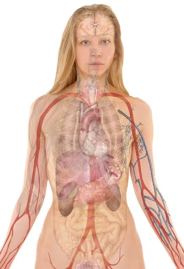 La penicilina ha sido utilizada tanto en medicina humana como veterinaria