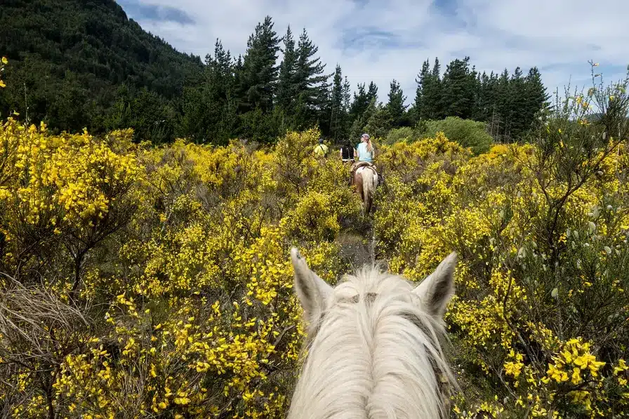Los paseos a caballo y las justas eran otra forma de entretenimiento para la alta sociedad