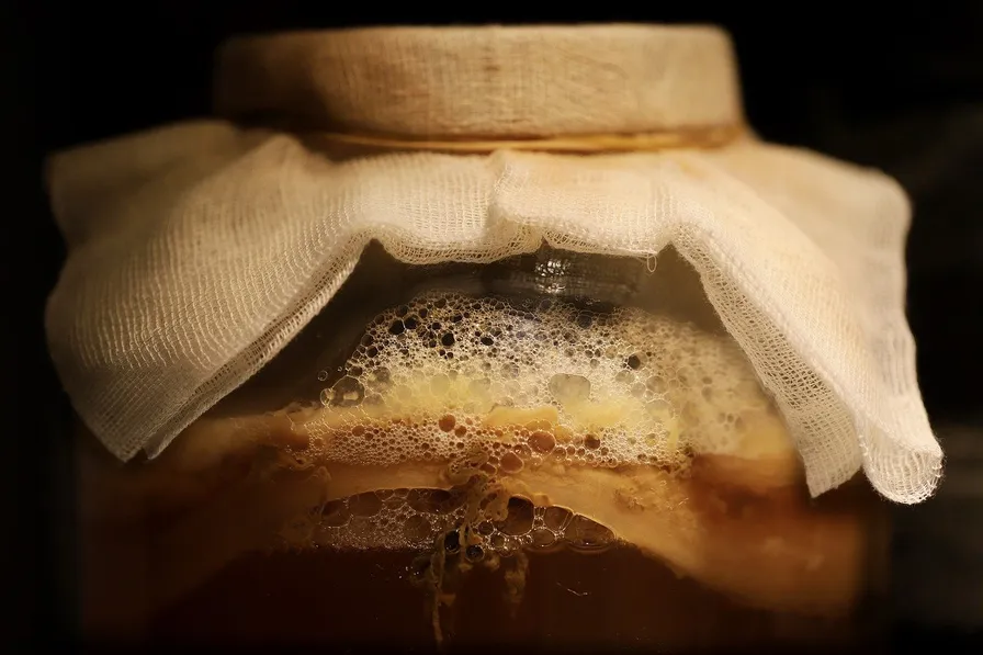 La experimentación en la fermentación